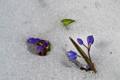 Прикрепленное изображение: DSC_0089_s.jpg